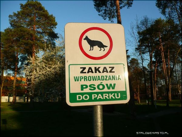 Obrazek