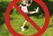 article 1